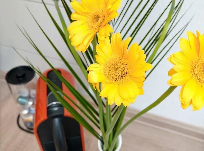 Flex Living - Nikolai *